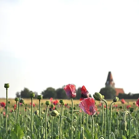 Speneder Gasthof Altpolla