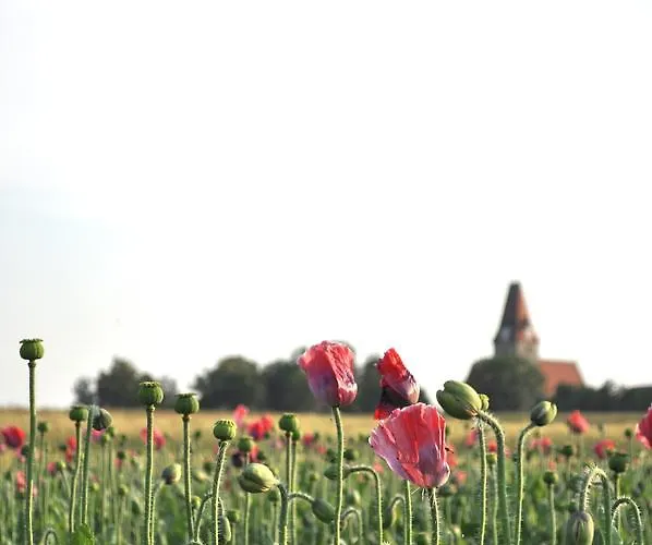 Speneder Inn Altpolla